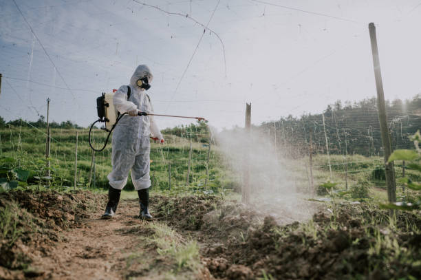 Best Ant Control Services  in Allen Park, MI