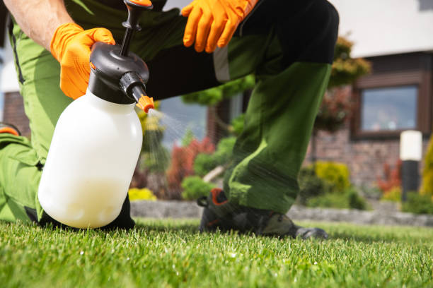 Best Flea Control Services  in Allen Park, MI
