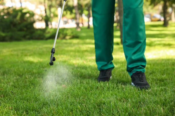 Wildlife Control Services in Allen Park, MI