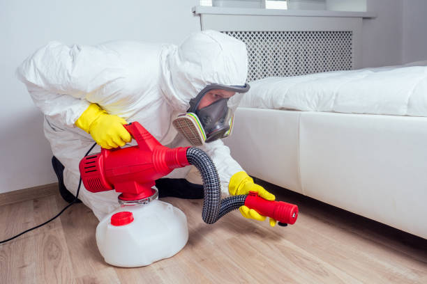 Best Ant Control Services  in Allen Park, MI