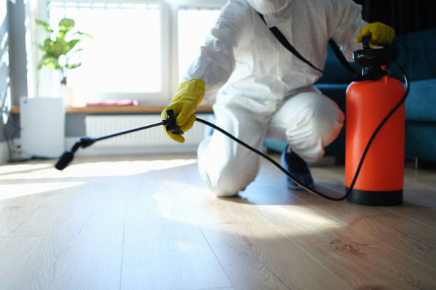 Best Mosquito Control Services  in Allen Park, MI