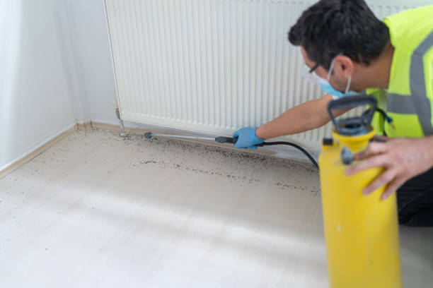 Professional Pest Control in Allen Park, MI