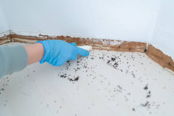  Allen Park, MI Pest Control Pros