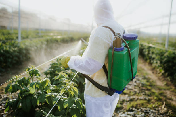 Best Exterminator Services  in Allen Park, MI